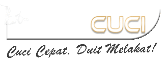 Link 100Cuci